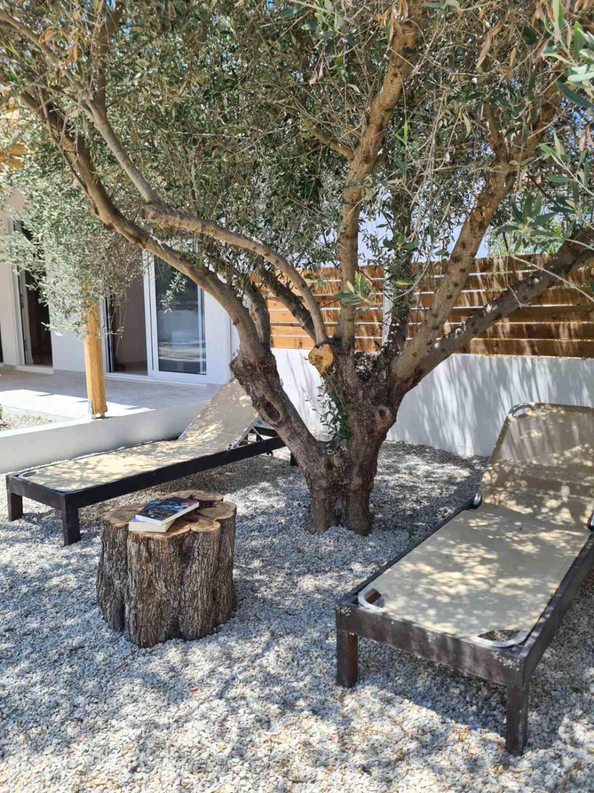 Iasmos Ferienhaus Pitsidia